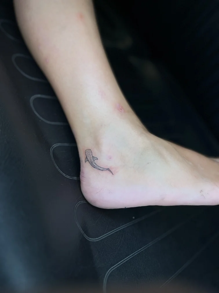 fineline animal shark sea black line tattoo nature tattoo canggu bali
