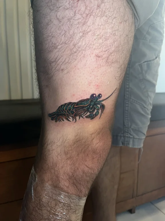 animal new school snake fine line wave dragon linework colorful tattoo Canggu Bali